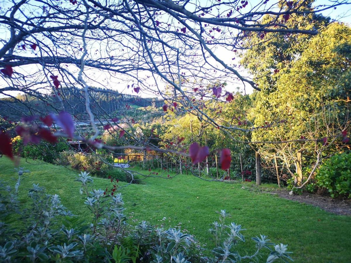 River Side Lodge Whakamarama Екстер'єр фото